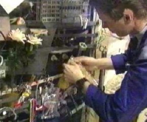 TRABAJADOR INDUSTRIA (10)